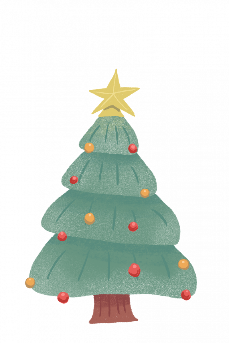 tree, christmas tree, christmas, decoration, christmas decoration, star, snow, winter, december, holiday, nature, happychristmas